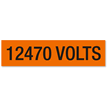 12470 Volts, Large (2-1/4 in. x 9 in.)