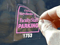 Vinyl Window Decals